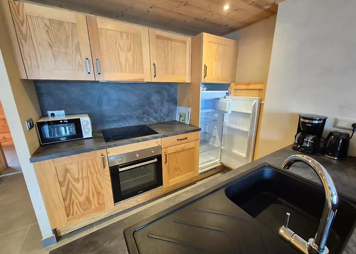 Apartment Lumineux 3 Pieces, Proche Des Pistes, Animaux Admis - Fr-1-811-23 *